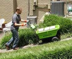 тележка гринворкс самоходка