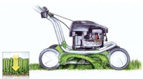 Мульчирование