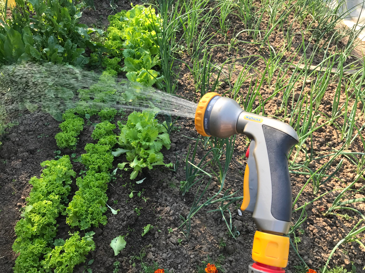 Пистолет-распылитель для полива HoZelock 2691 Multi Plus 8 режимов металлический