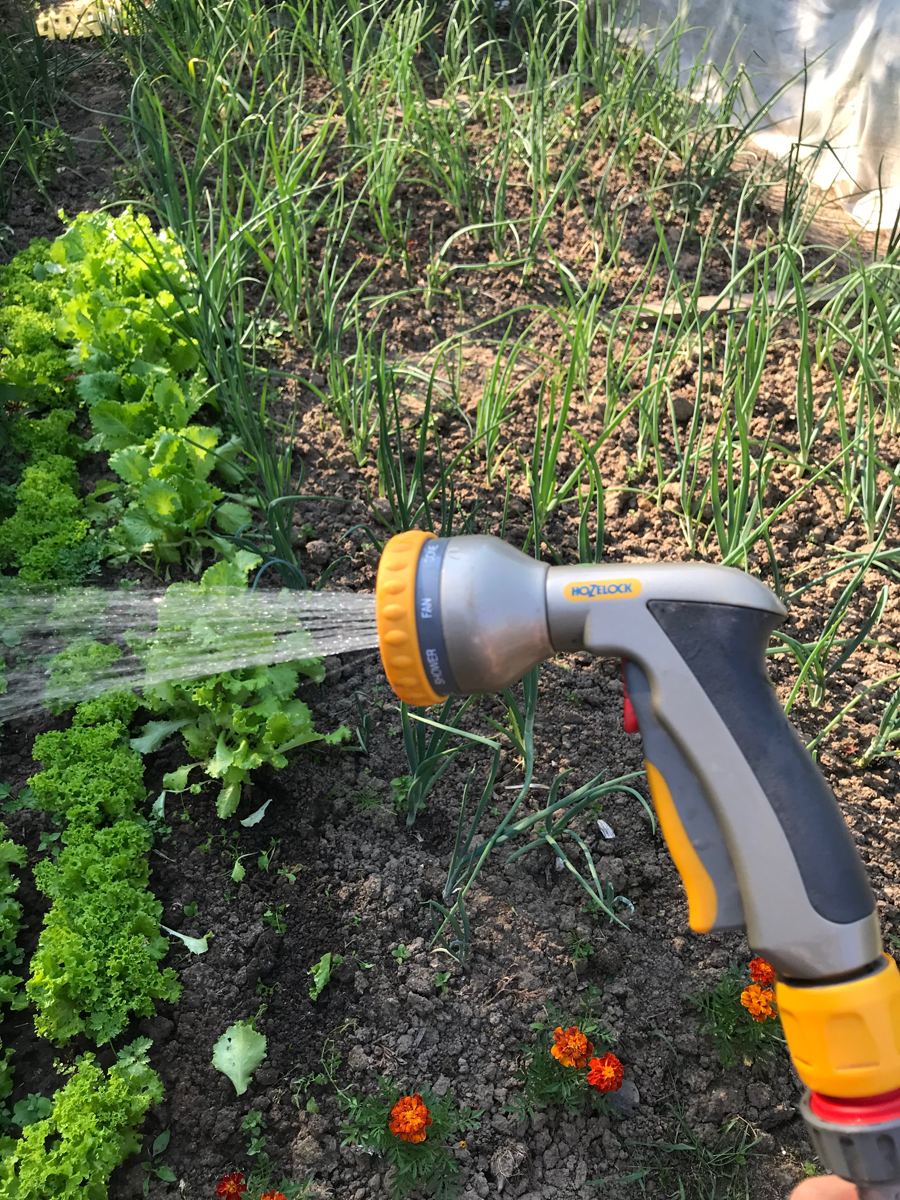 Пистолет-распылитель для полива HoZelock 2691 Multi Plus 8 режимов металлический